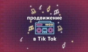 инфографика tiktok